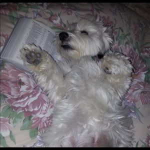 Meet your Posher, Luanna